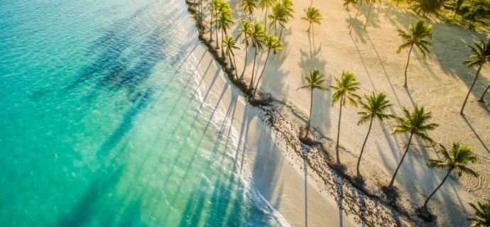 Caribbean destination image with palm trees Caribbean destination image with palm trees