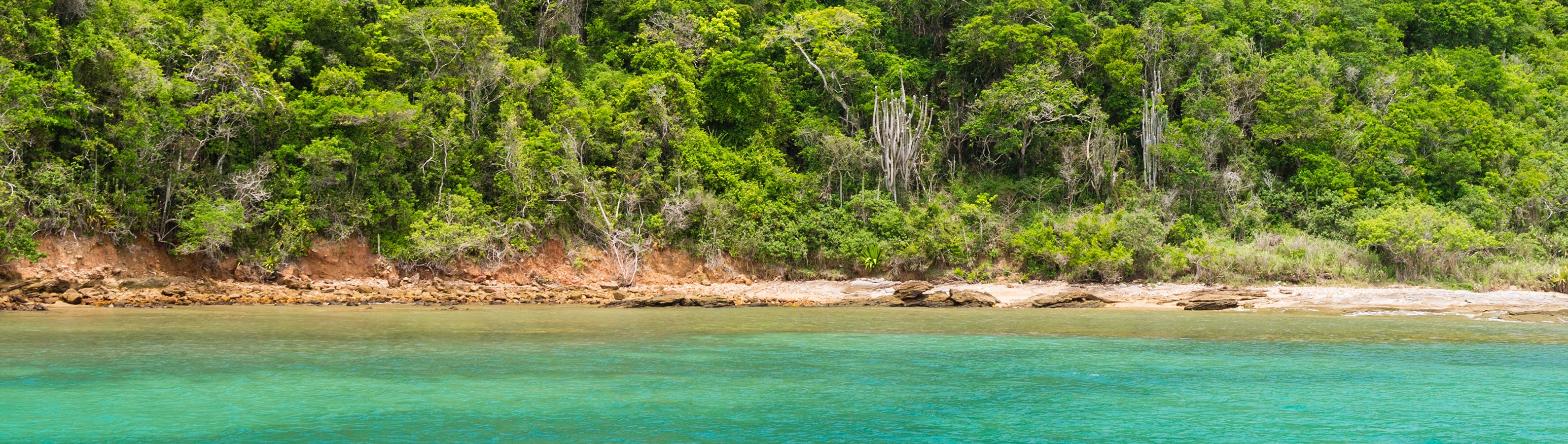 itineraryImageDesktop