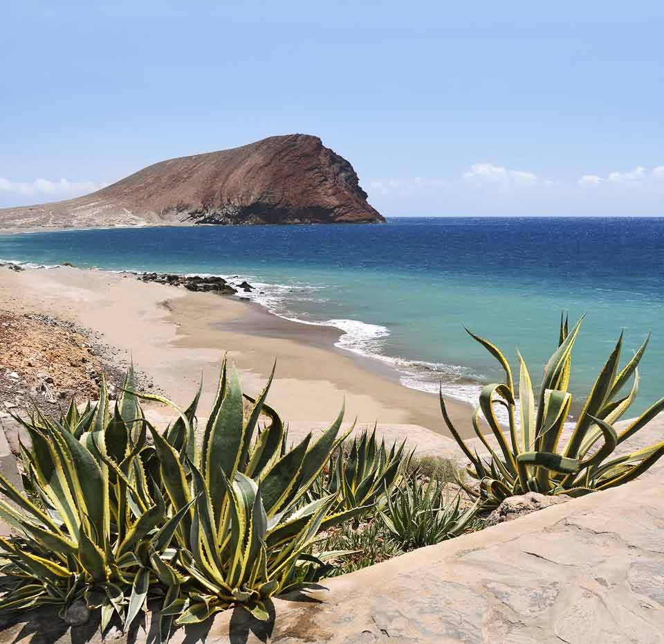 Western Mediterranean | MSC Cruises