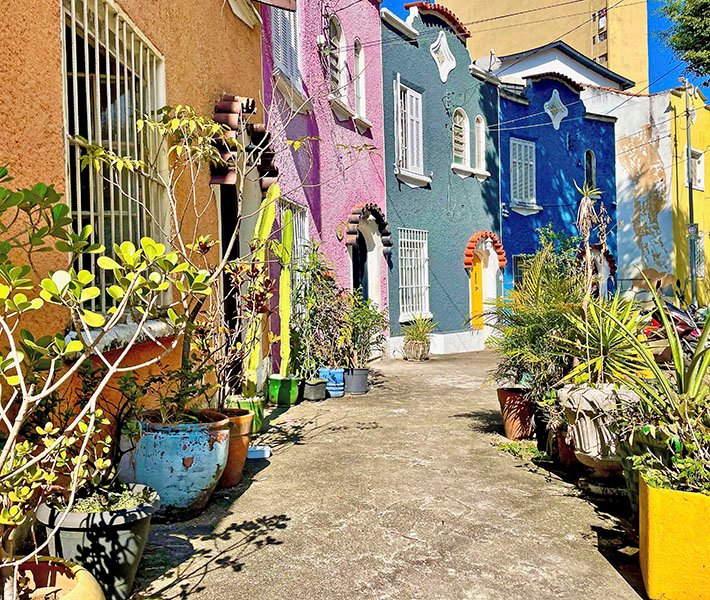 Santos tours, Libertade | MSC Cruises