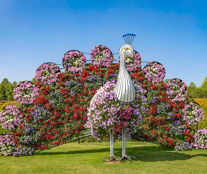 Dubai tours, Miracle Garden | MSC Cruises