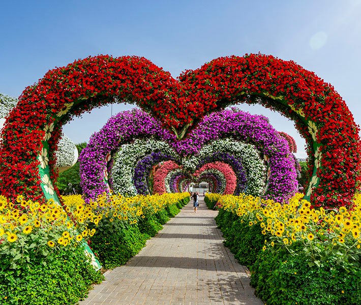 Dubai tours, Miracle Garden | MSC Cruises