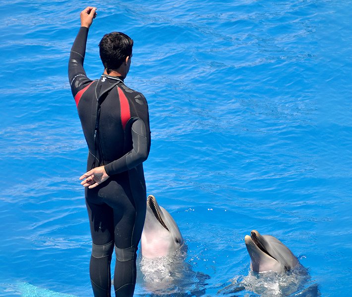 Valencia tours, Oceanogràfic | MSC Cruises