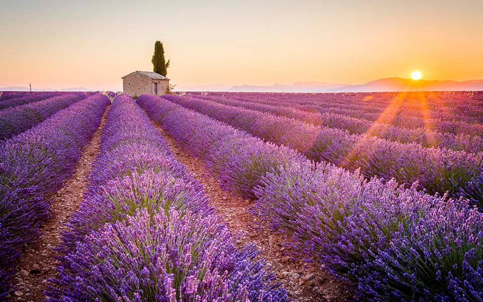 Lavender fields with a stone house and sunset in Provence | MSC Cruises Lavender fields with a stone house and sunset in Provence | MSC Cruises